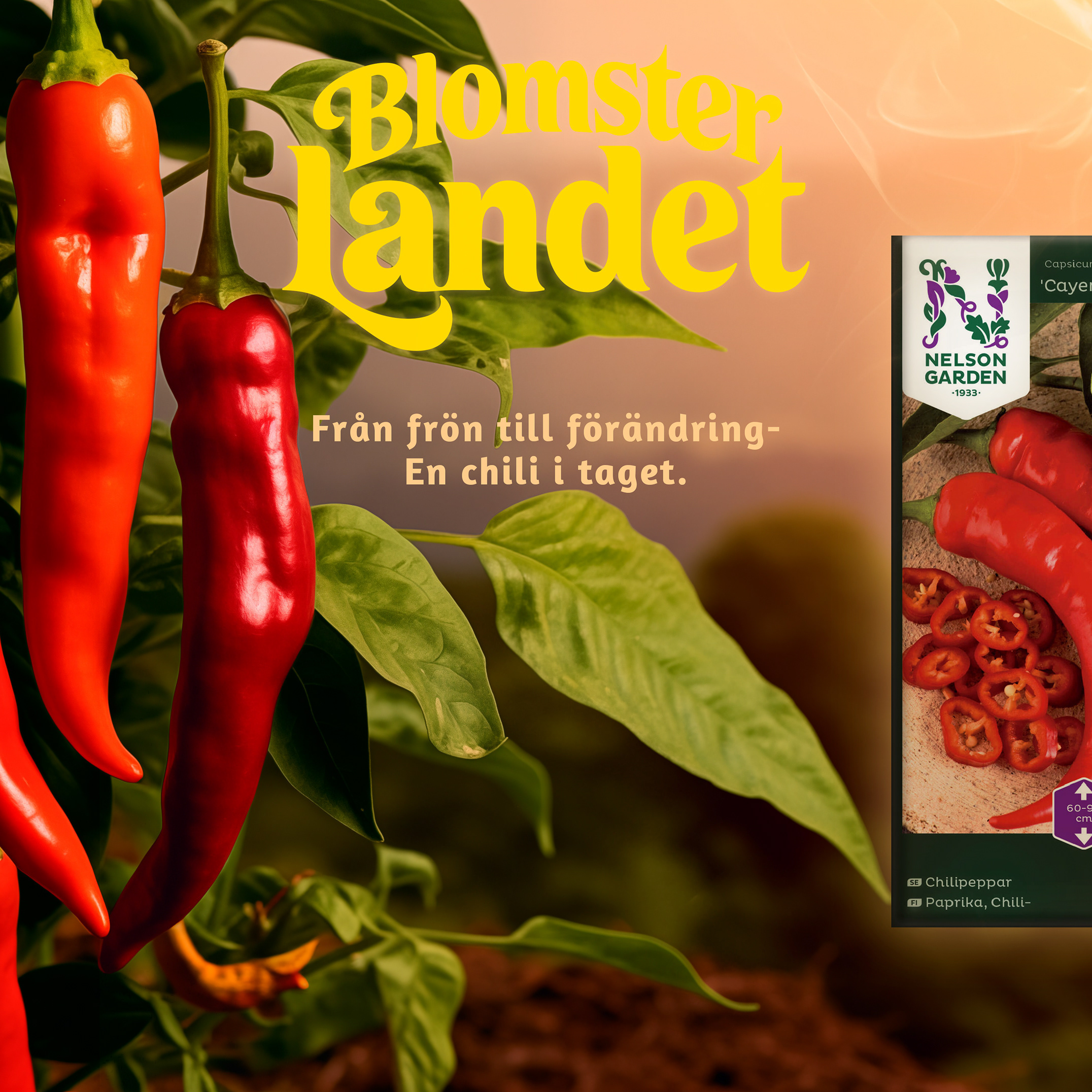 Blomster Landet